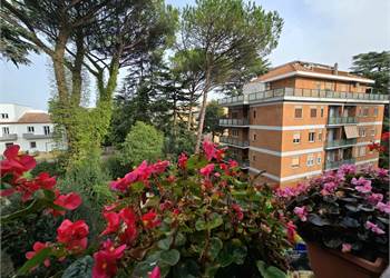 LUMINOSO AMPIA METRATURA NEL VERDE