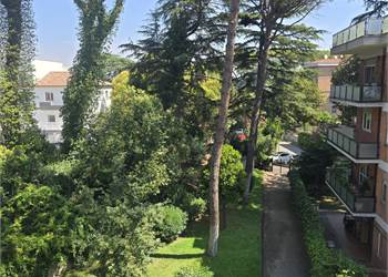 LUMINOSO AMPIA METRATURA NEL VERDE